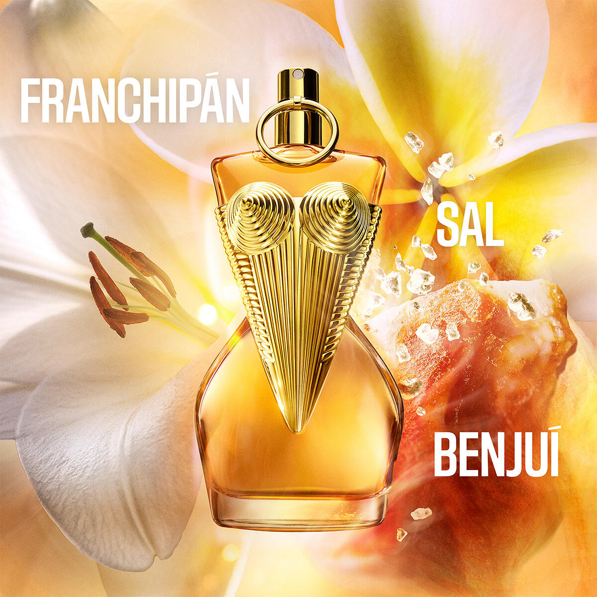 GAULTIER DIVINE SET EAU DE PARFUM INTENSE